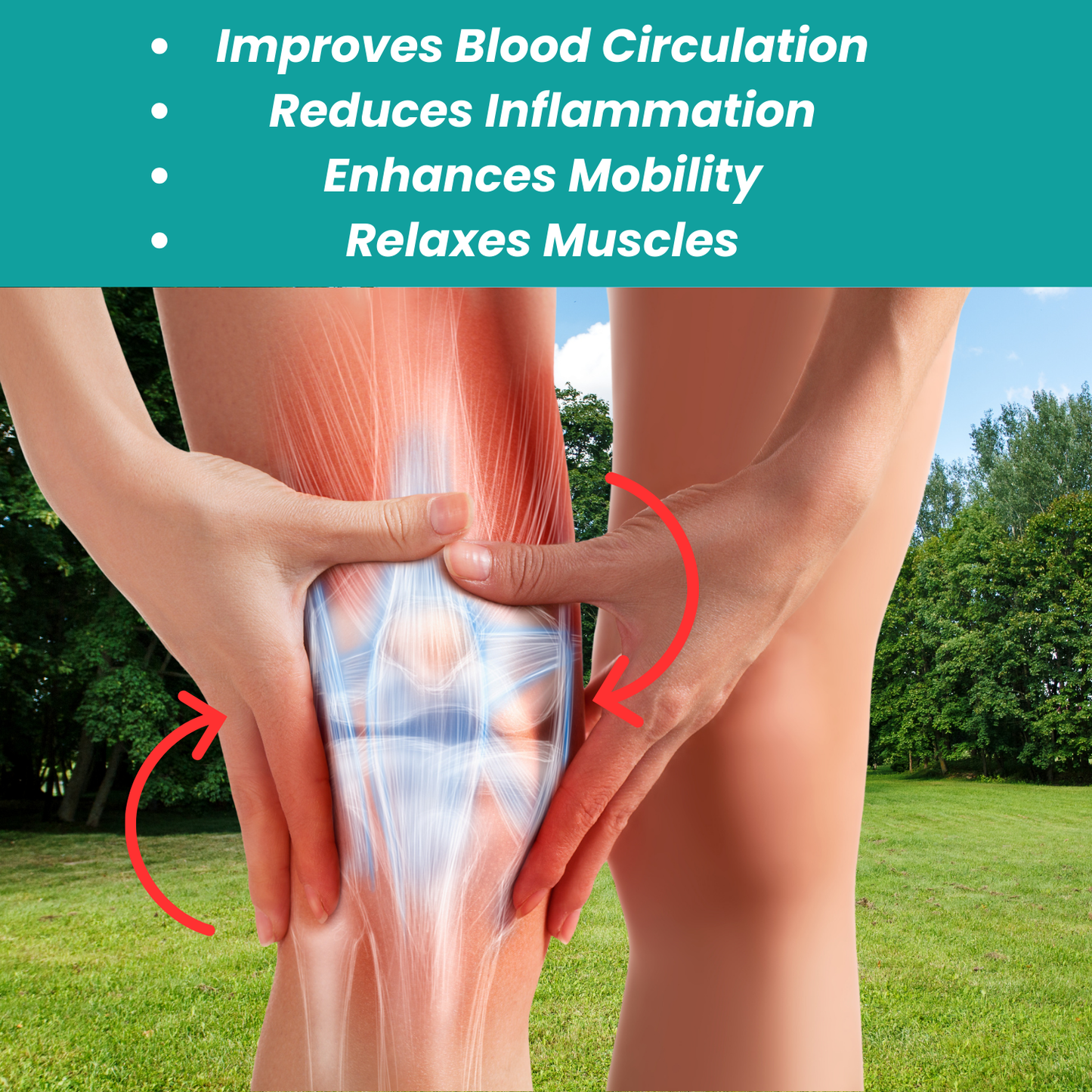 Knee Massager Pro
