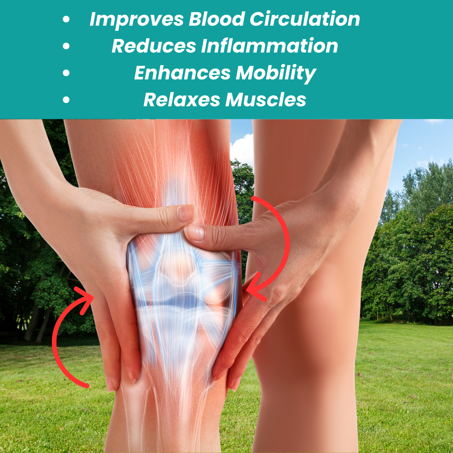 Knee Massager Pro